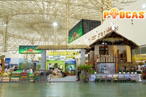 Bản tin Podcast ngày 26/10/2025