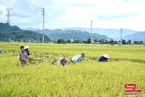 'Đồng hành cùng nông dân phát triển sản xuất