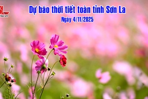 'Dự báo thời tiết toàn tỉnh Sơn La ngày 4/11/2025
