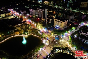 'Phát huy hiệu quả hệ thống chiếu sáng đô thị thông minh