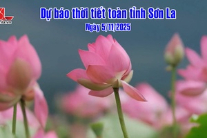 'Dự báo thời tiết toàn tỉnh Sơn La ngày 5/11/2025
