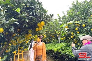 Phát triển du lịch xanh gắn với nông nghiệp tuần hoàn