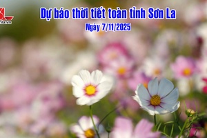 'Dự báo thời tiết toàn tỉnh Sơn La ngày 7/11/2025