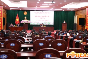 Bản tin Podcast ngày 7/11/2025