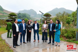 Sơn La miễn phí vé xem vòng chung kết Cuộc thi Hoa hậu Du lịch Dân tộc Việt Nam 2025 tại Khu du lịch Mộc Châu Island.  