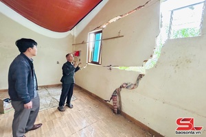 'Sớm ổn định cuộc sống cho các hộ dân ở bản Lun, phường Chiềng Cơi
