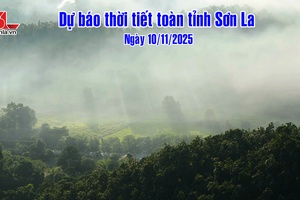 'Dự báo thời tiết toàn tỉnh Sơn La ngày 10/11/2025
