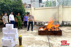 'Nâng cao hiệu quả công tác thi hành án dân sự