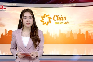 Chào ngày mới 11/11/2025
