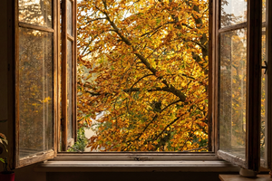 Truyện Podcast: Nỗi nhớ mùa đông