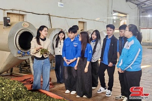 Tham quan học tập mô hình khởi nghiệp tiêu biểu của thanh niên