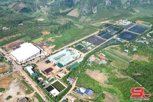 'Thu hút đầu tư lĩnh vực nông nghiệp công nghệ cao vào khu công nghiệp