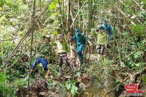 'Huổi Một giữ màu xanh của những cánh rừng