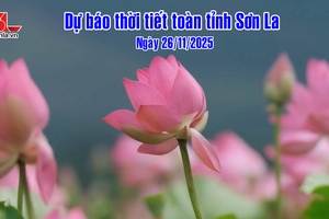 'Dự báo thời tiết toàn tỉnh Sơn La ngày 26/11/2025
