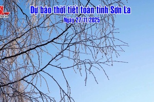 'Dự báo thời tiết toàn tỉnh Sơn La ngày 27/11/2025
