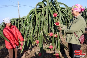 'Đổi mới công tác dân tộc, tôn giáo