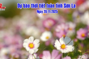 'Dự báo thời tiết toàn tỉnh Sơn La ngày 28/11/2025
