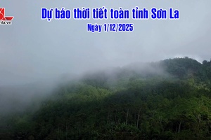 'Dự báo thời tiết toàn tỉnh Sơn La ngày 1/12/2025
