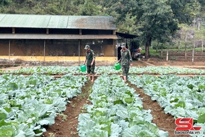 'Tích cực tăng gia sản xuất, nâng cao đời sống bộ đội