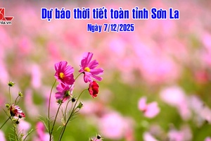 'Dự báo thời tiết toàn tỉnh Sơn La ngày 7/12/2025
