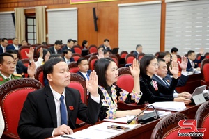 Thông qua thông qua nghị quyết thuộc lĩnh vực pháp chế, văn hóa – xã hội, dân tộc