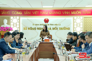 Nắm tình hình triển khai phong trào “Bình dân học vụ số”