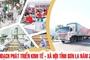 'Kế hoạch phát triển kinh tế - xã hội tỉnh Sơn La năm 2026