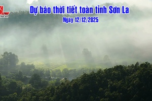 'Dự báo thời tiết toàn tỉnh Sơn La ngày 12/12/2025