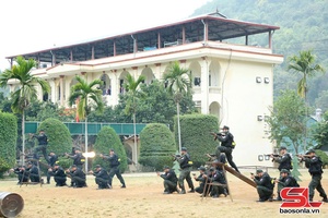 'Tiểu đoàn Cảnh sát cơ động dự bị chiến đấu hoàn thành huấn luyện