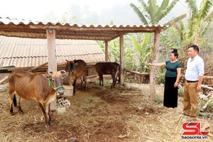 'Mường Lèo đưa chính sách dân tộc vào cuộc sống