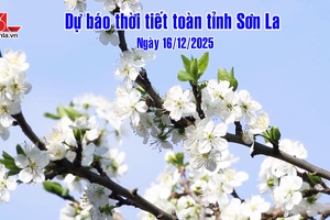 'Dự báo thời tiết toàn tỉnh Sơn La ngày 16/12/2025