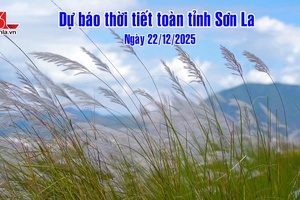 'Dự báo thời tiết toàn tỉnh Sơn La ngày 22/12/2025