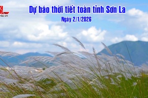 'Dự báo thời tiết toàn tỉnh Sơn La ngày 2/1/2026