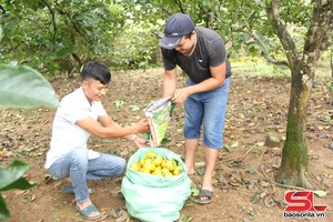 Cho phép sử dụng địa danh đăng ký nhãn hiệu chứng nhận 4 sản phẩm đặc sản