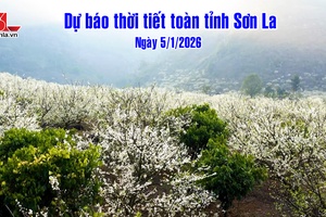 'Dự báo thời tiết toàn tỉnh Sơn La ngày 5/1/2026