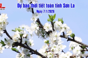 Dự báo thời tiết toàn tỉnh Sơn La ngày 7/1/2026