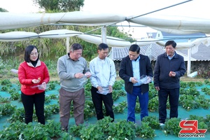 'Khảo sát, nắm tình hình hoạt động hợp tác xã