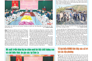 Tin ảnh 15/1/2026