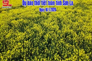 'Dự báo thời tiết toàn tỉnh Sơn La ngày 16/1/2026