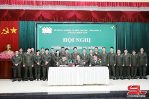 'Triển khai nhiệm vụ công tác quản lý, bảo vệ rừng năm 2026