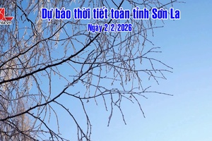 'Dự báo thời tiết toàn tỉnh Sơn La ngày 2/2/2026
