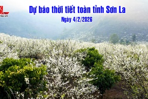 'Dự báo thời tiết toàn tỉnh Sơn La ngày 4/2/2026
