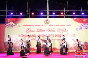 Giao lưu văn nghệ mừng Đảng, mừng Xuân