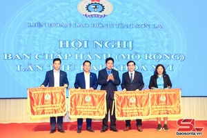 'Ban Chấp hành LĐLĐ tỉnh Sơn La triển khai nhiệm vụ năm 2026
