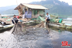 'Nguồn vốn tín dụng chính sách khơi khát vọng làm giàu