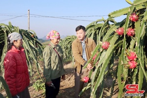 Thi đua “Dân vận khéo" - Thực chất, hiệu quả
