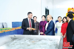 'Phát triển nông nghiệp gắn với công nghiệp chế biến
