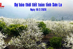 'Dự báo thời tiết toàn tỉnh Sơn La ngày 19/2/2026