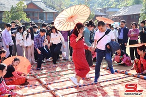 "Thiên đường xanh" Mộc Châu thu hút khách du xuân