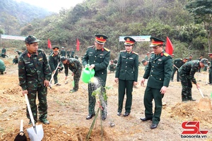 'Đảng ủy, Bộ CHQS tỉnh phát động Tết trồng cây
